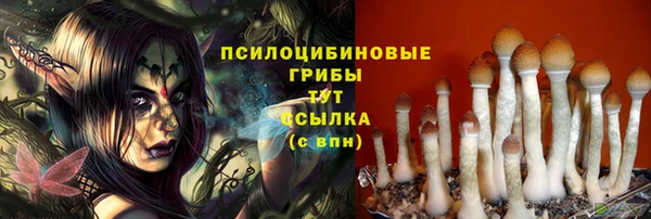 прущий лед Балахна